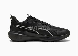 Puma trail 42.5