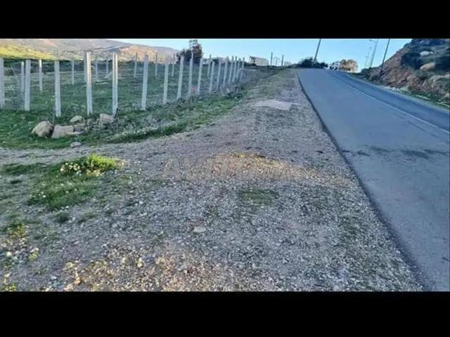 طنجة ولاد زيان ارض لها مستقبل مع مرور الوقت