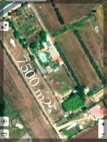 Terrain à vendre à proximité plage Amphitrite