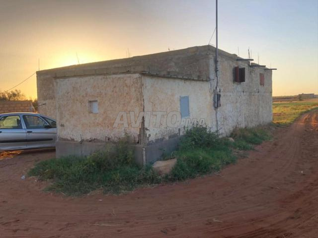 أرض فلاحية أرض فلاحية في حد ولاد الفرج - 2