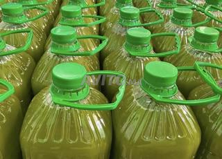 ✅ زيت الزيتون البلدية الحوزية بالجملة وتقسيط 🪴