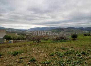 أرض للبيع نواحي تطوان