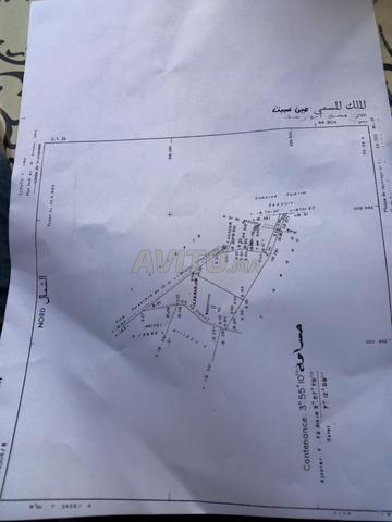 7 ha titré souk sebt ain khochba shoul salé