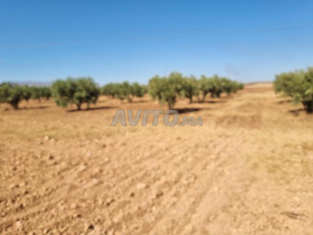 Terrain de 7.3 hectares titré Pour projet