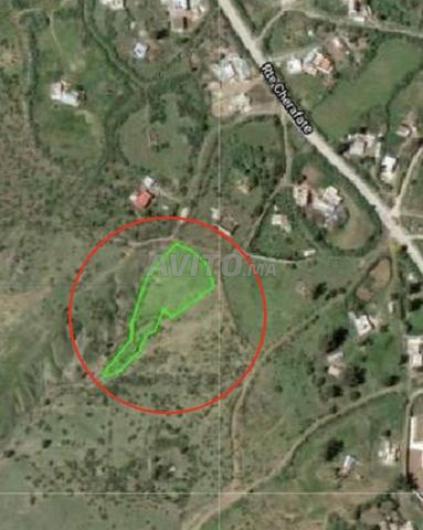 أرض بالقرب من منطقة ملوسة