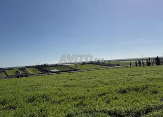 11000 متر موثق مع ترخيص فيلا