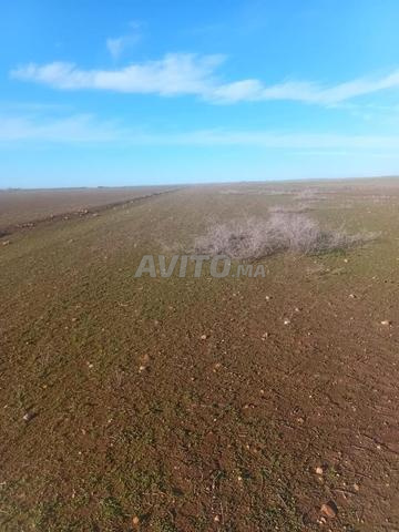 A VENDRE TERRAIN DE 9 HECTARES A BENI MELLAL