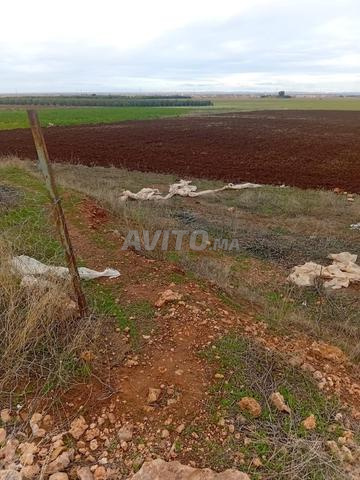 TERRAIN AGRICOLE ET IMMOBILIER DE 13 HECTARES - 2