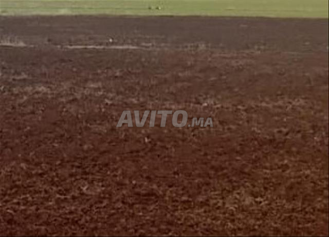 A VENDRE TERRAIN DE 50 HECTARES A BENI MELLAL