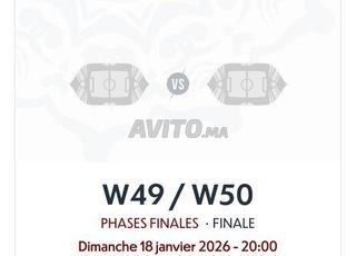 Je cherche billet final Can 2025