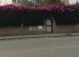 مركز HEMODIALYSE