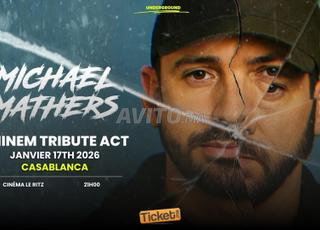 THE EMINEM EXPERIENCE BY MICHAEL MATHERS Cat 2