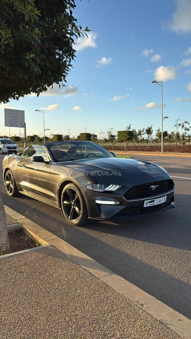ford mustang 2019