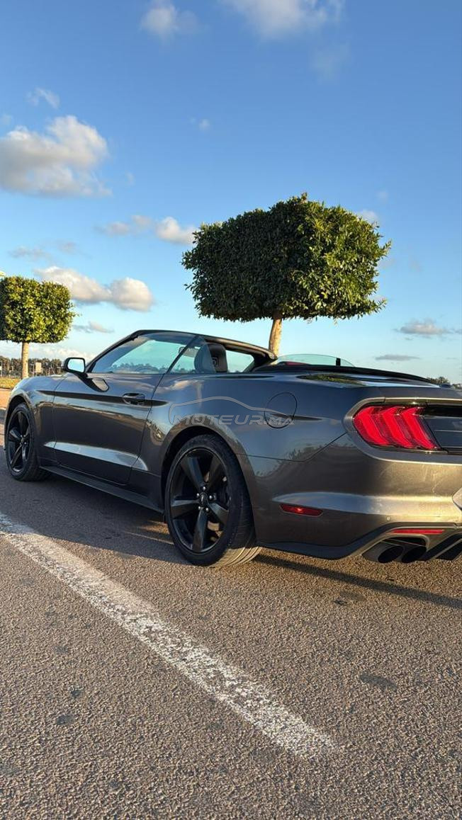 ford mustang 2019