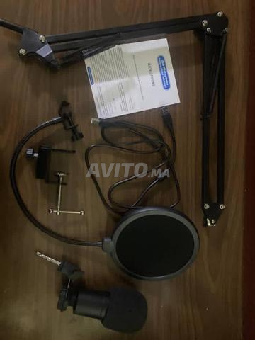 Microphone professionnel