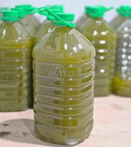 زيت زيتون أصلية معصورة تقليديا من عطاوية