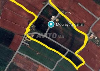 Grande ferme à vendre