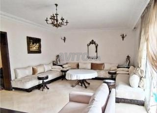 كوتي معاريف