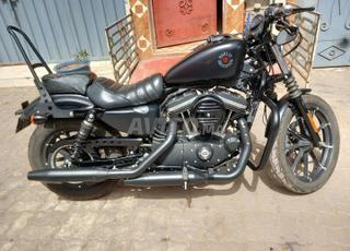 Harley Davidson 883 IRON