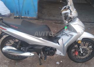 سايروس جاكوار