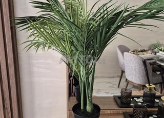 ديكورات متنوعة جديدة