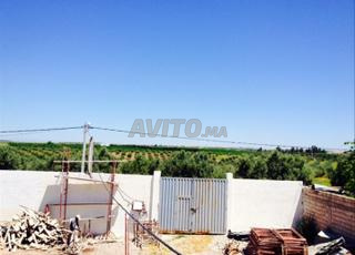 أرض - مزرعة للإيجار