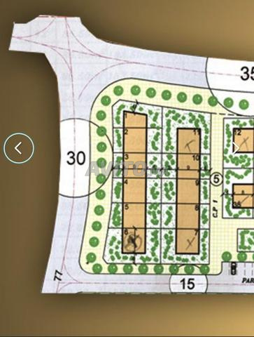 بقعة دار أو فيلا 282 الشارع الرئيسي وسط تمنصورت