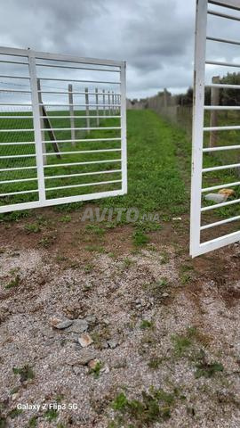 Terrain 1 ha 3700 m2 Benslimane