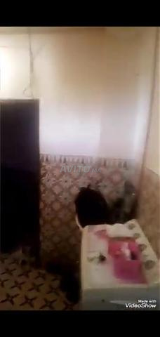 شقة للبيع 50 متر مربع في مراكش