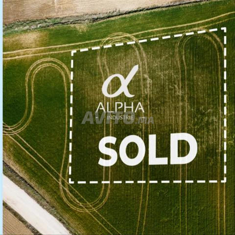 A VENDRE Terrain industriel zone I8