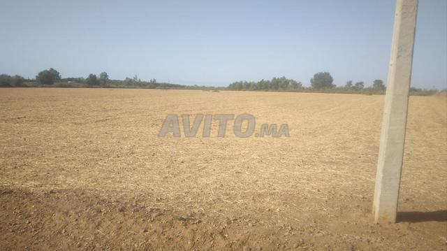 Terrain agricole à vendre à Moulay Idriss Ghabal