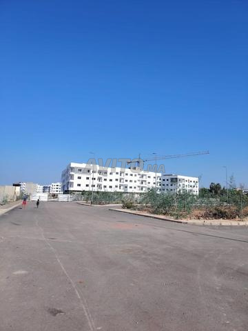 Terrain chouka bien placé