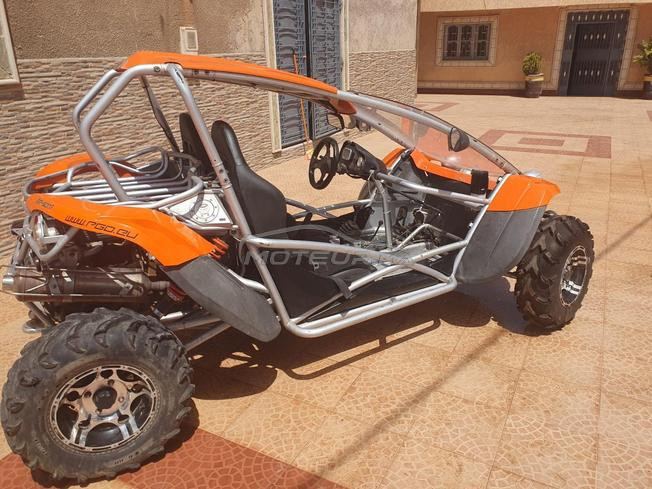 PGO Bugracer BR-500i Buggy