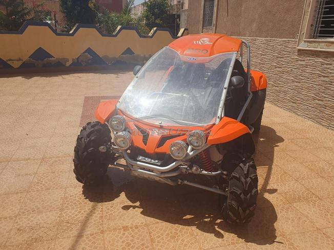 PGO Bugracer BR-500i Buggy