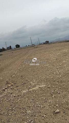 كلم9هكتار روت وريكا زيرو بست آفنا - 2