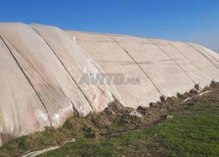 نادر ديال التبن للبيع