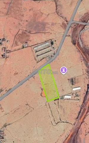 أرض على الطريق 2 هكتار صالحة للمشاريع الكبرى