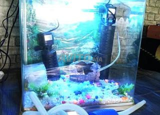حوض سمك أصلي مع ملحقات 2 محرك أكسجين