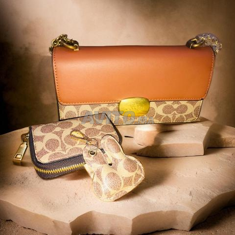 مجموعة مدرب - جودة المرآة