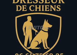 Dressage de chiens meknes