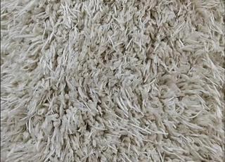 Tapis Salon de Luxe type Caniche