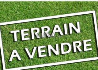 مزرعة 3 هكتارات للبيع طريق فاس مراكش RT