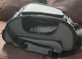 حقيبة حمل للقطط والكلاب الصغيرة