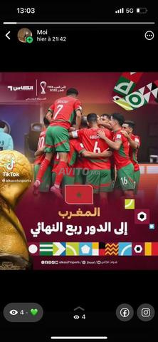 تذكرة نصف نهائي المغرب نيجيريا VIP - 2