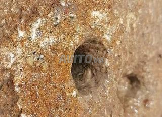 رحى قديمة غنية بالمعادن القيمة