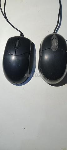 souris 2....