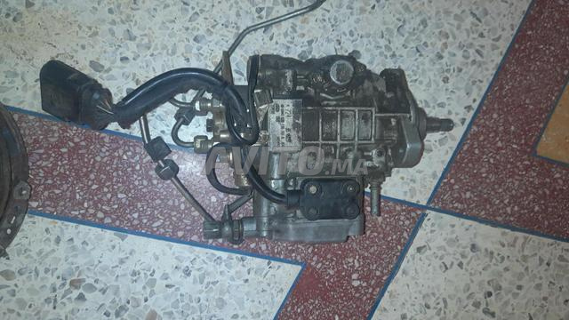 زاكورة النقوب