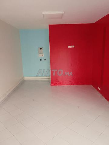 magasin aménagé à palmier 32m2 - 2