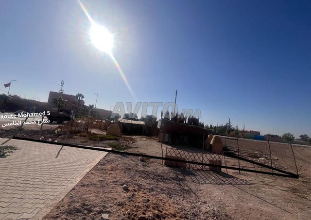 Terrain Houara Cherarda Terrain à vendre à Cherarda