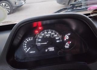 طاطا في حالة جيدة